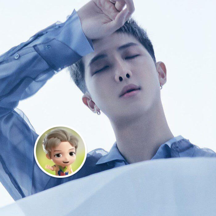 BTS - RM - TinyTAN