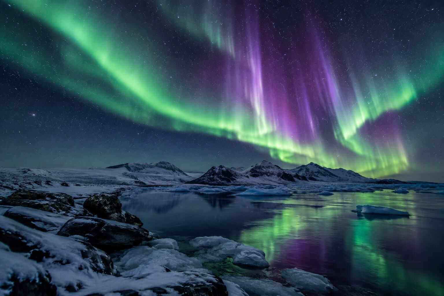 Auroras verdes y violetas se extienden en bandas sobre un paisaje oscuro durante la noche.